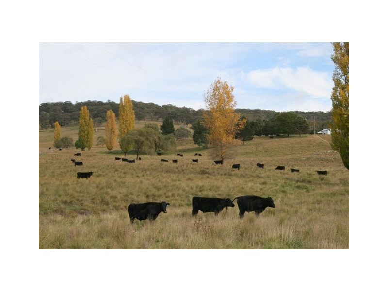 Yarrowitch NSW 2354