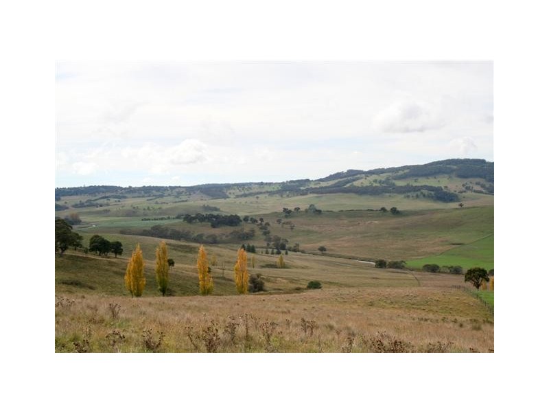 Yarrowitch NSW 2354