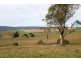 Yarrowitch NSW 2354