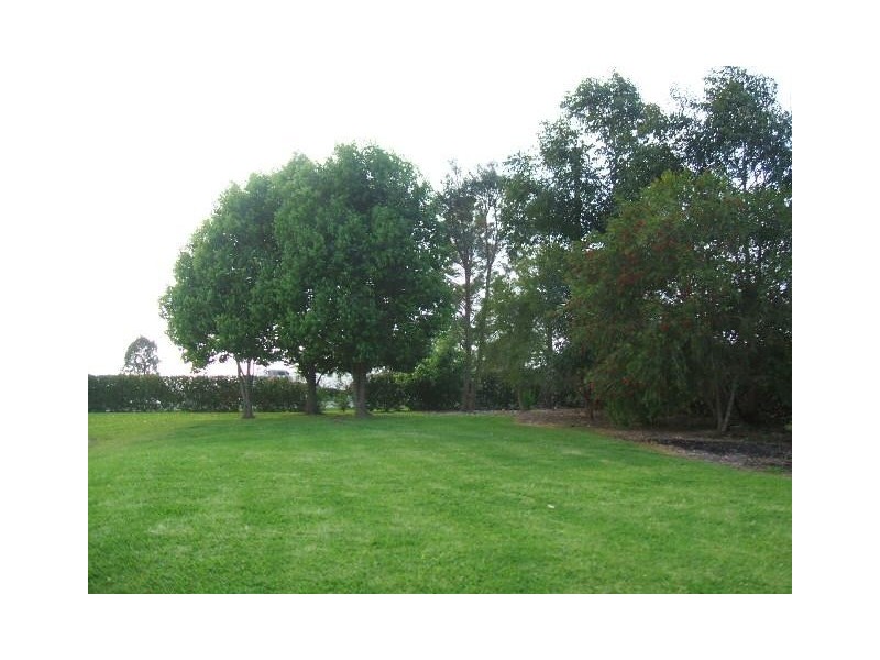 Beechwood NSW 2446