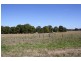 Wauchope NSW 2446