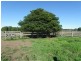 Wauchope NSW 2446