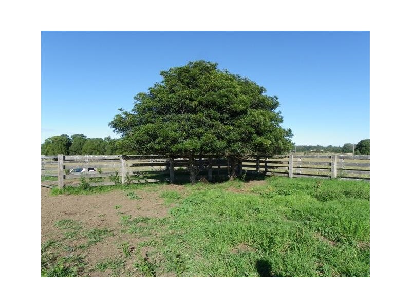 Wauchope NSW 2446