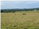 Wauchope NSW 2446