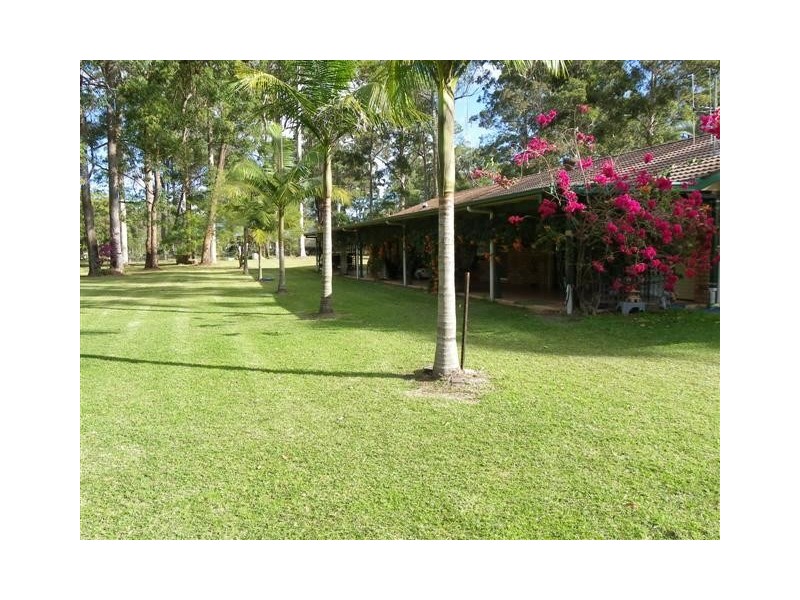 King Creek NSW 2446