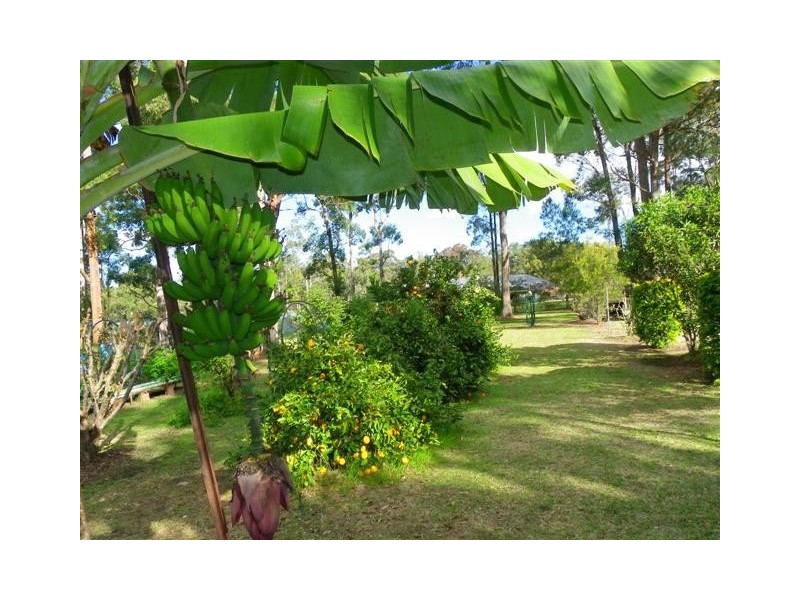 King Creek NSW 2446
