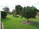 King Creek NSW 2446