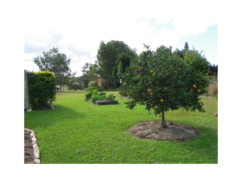 King Creek NSW 2446