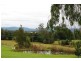 King Creek NSW 2446