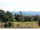 King Creek NSW 2446