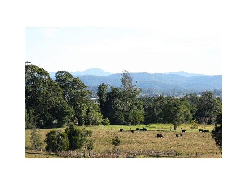 King Creek NSW 2446