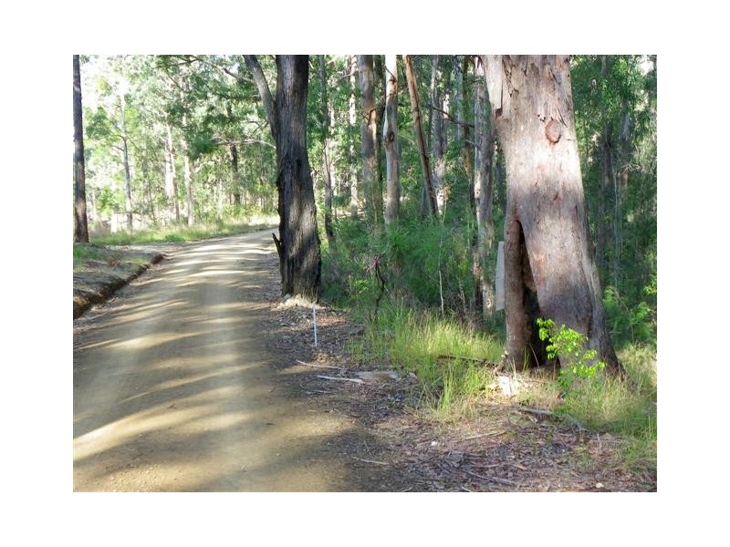 Herons Creek NSW 2443