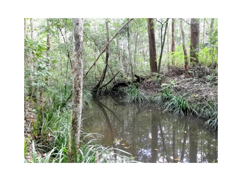 Herons Creek NSW 2443