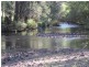 1042 Comboyne Rd, Byabarra NSW 2446