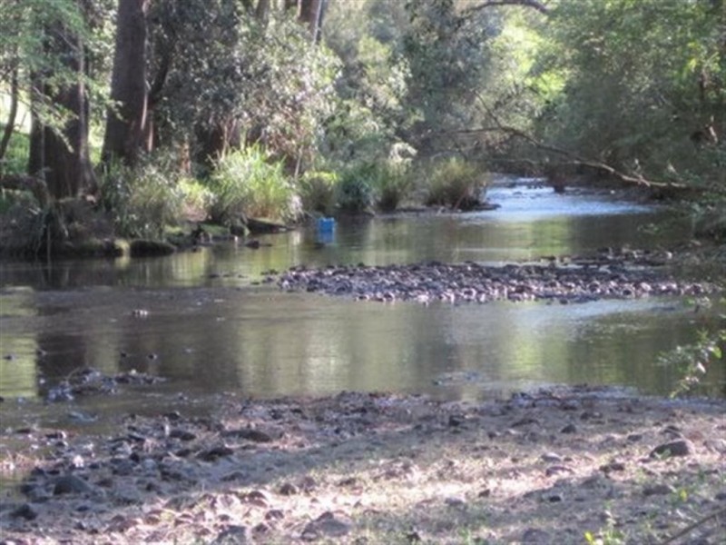 1042 Comboyne Rd, Byabarra NSW 2446