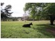 1042 Comboyne Rd, Byabarra NSW 2446