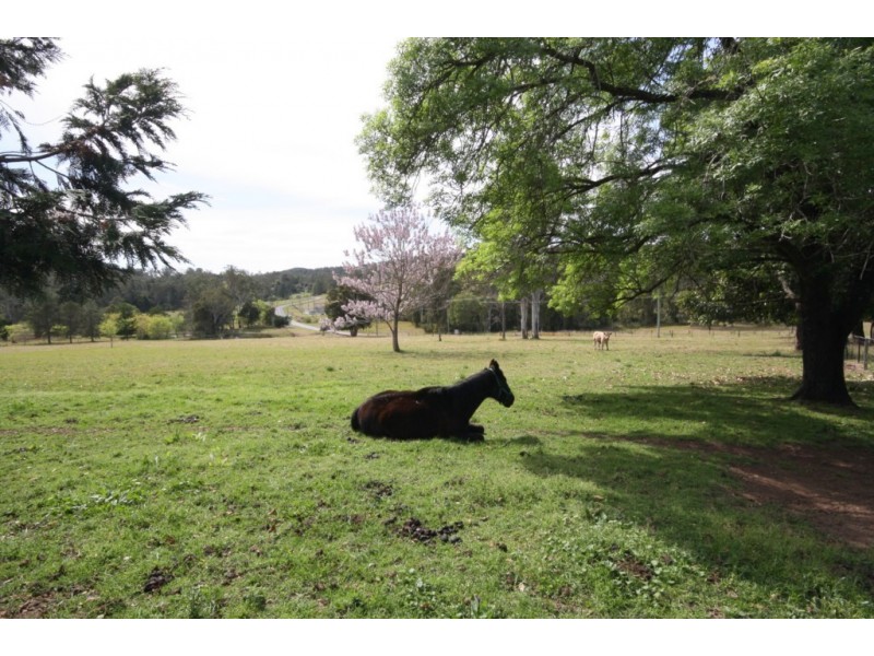 1042 Comboyne Rd, Byabarra NSW 2446