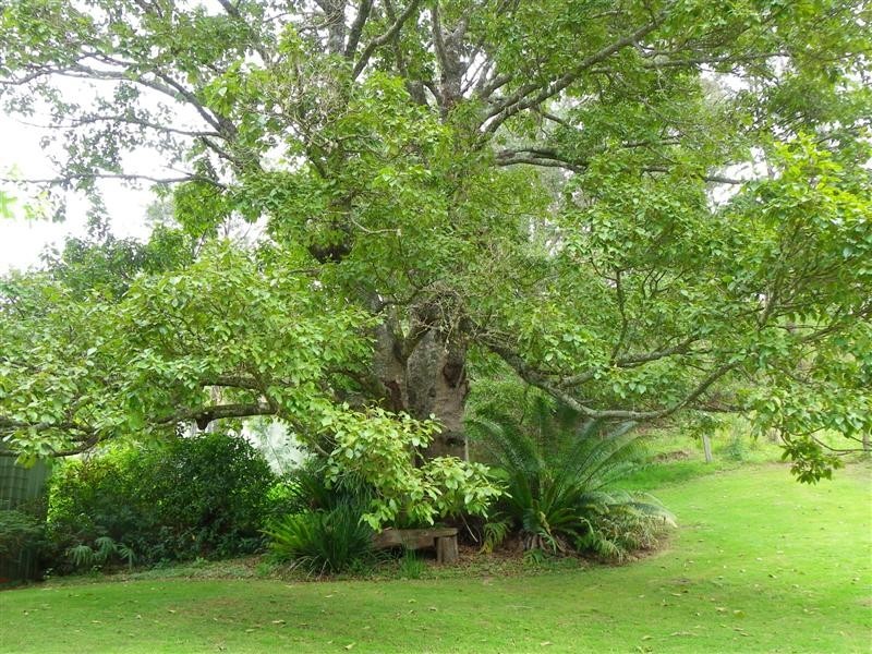 Byabarra NSW 2446