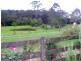 Mortons Creek NSW 2446
