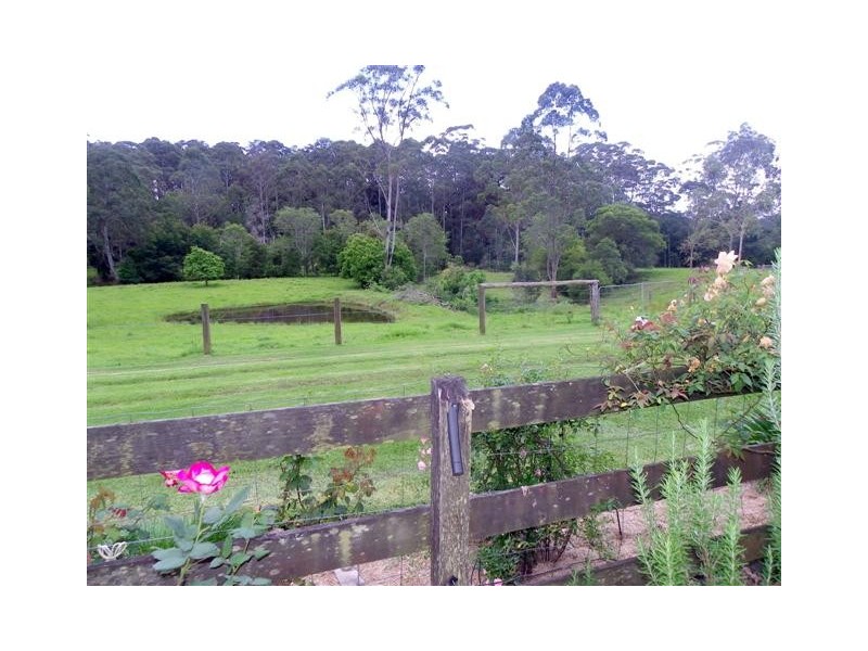 Mortons Creek NSW 2446