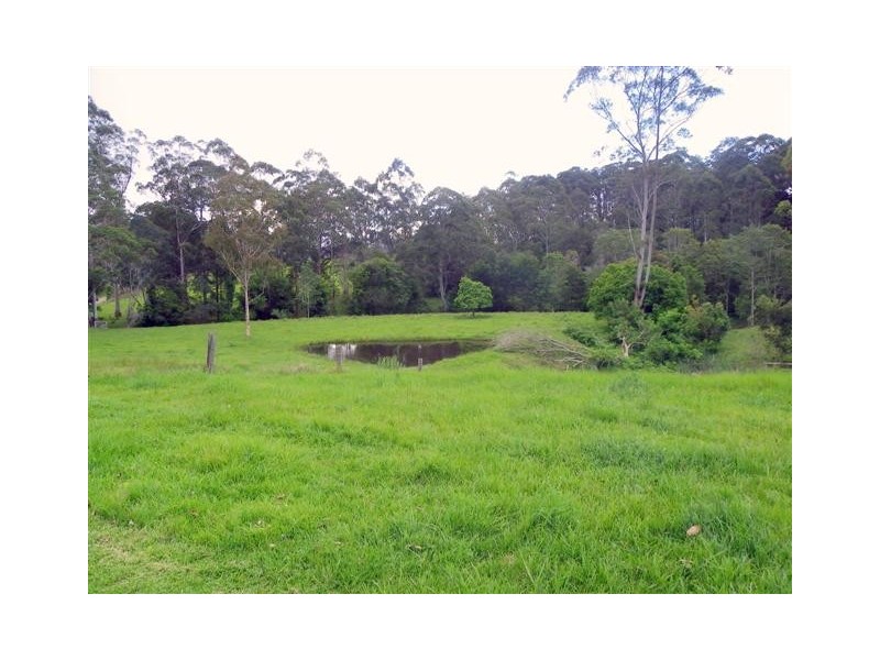 Mortons Creek NSW 2446
