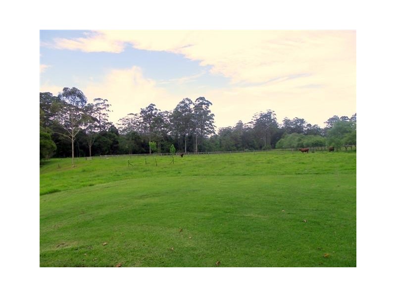Mortons Creek NSW 2446