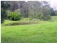 Mortons Creek NSW 2446