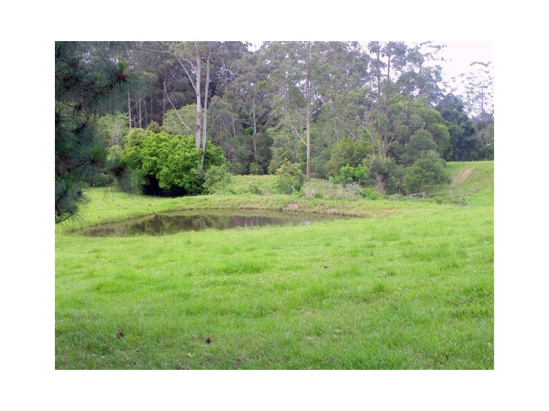 Mortons Creek NSW 2446