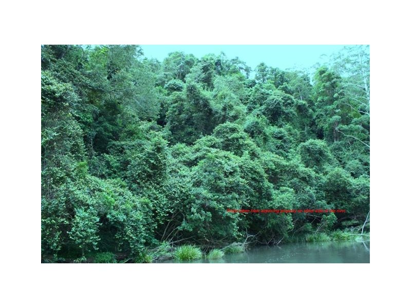 Pappinbarra NSW 2446