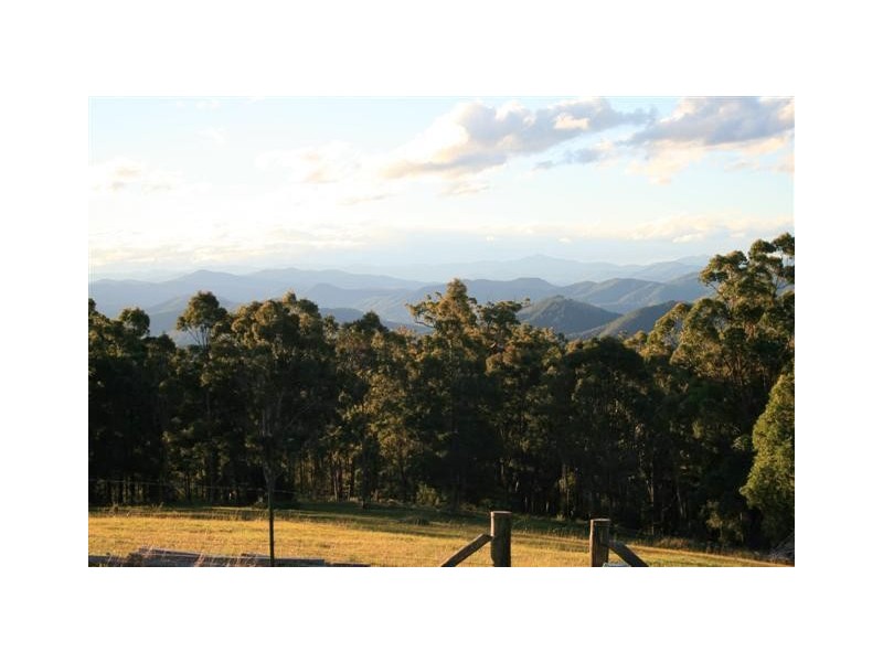 Comboyne NSW 2429