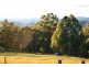 Comboyne NSW 2429