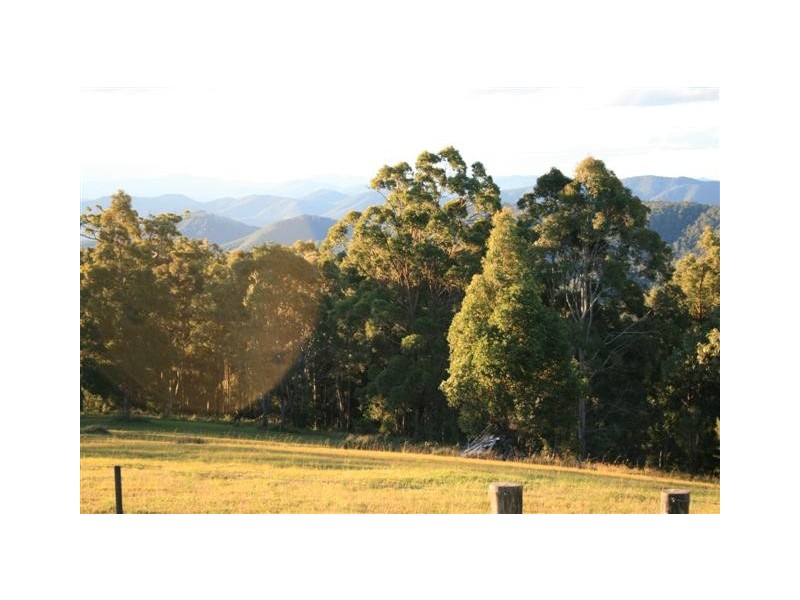 Comboyne NSW 2429