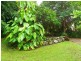 Wauchope NSW 2446