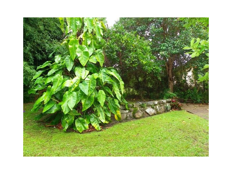 Wauchope NSW 2446