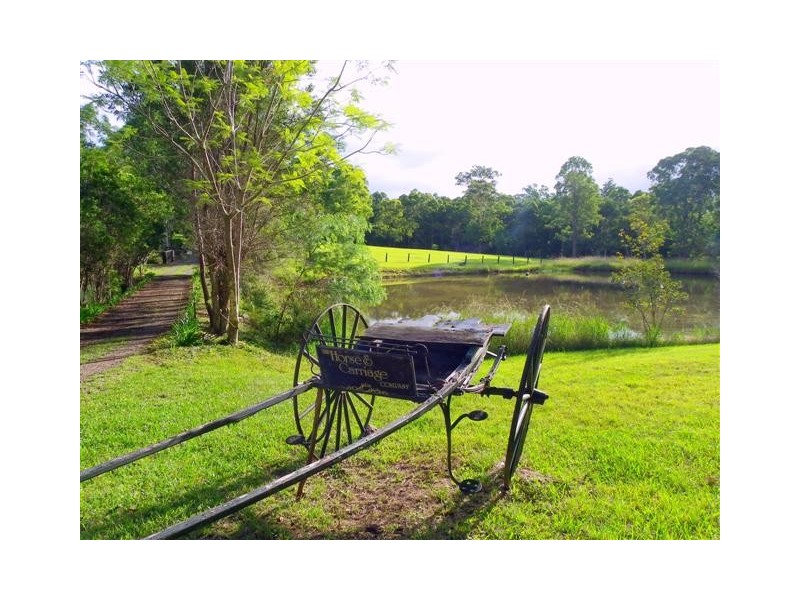 3199 Oxley Highway, Huntingdon NSW 2446