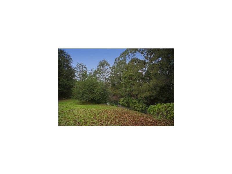 31 Coachwood Close, Beechwood NSW 2446