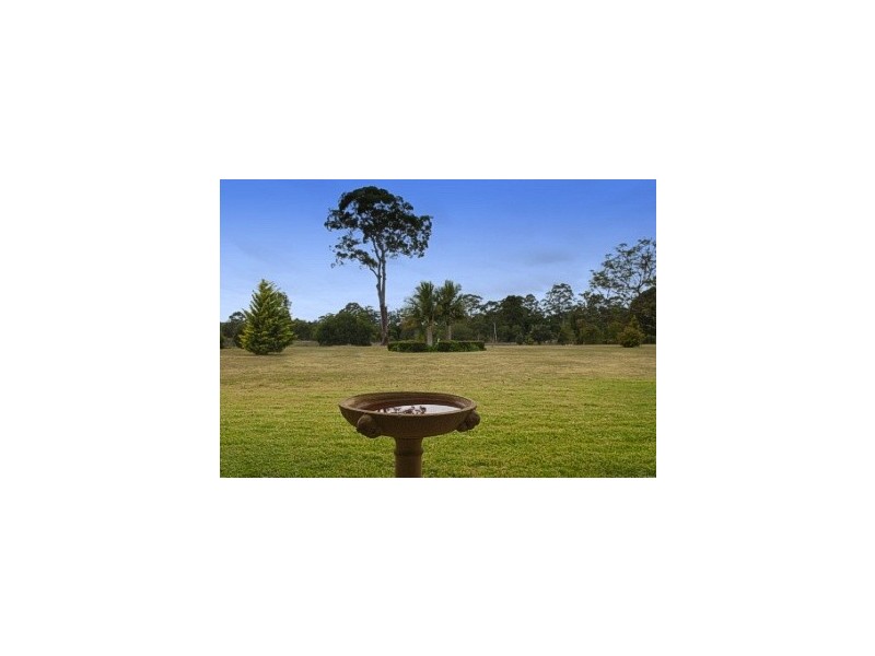 31 Coachwood Close, Beechwood NSW 2446