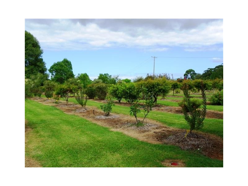 29 Secombe Lane, Redbank NSW 2446