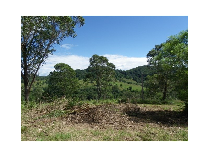 Ellenborough NSW 2446