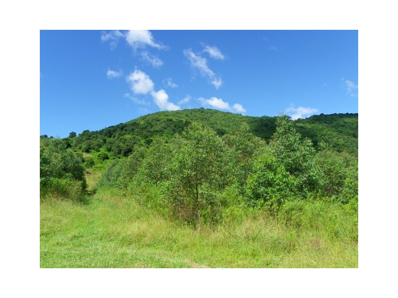 Ellenborough NSW 2446