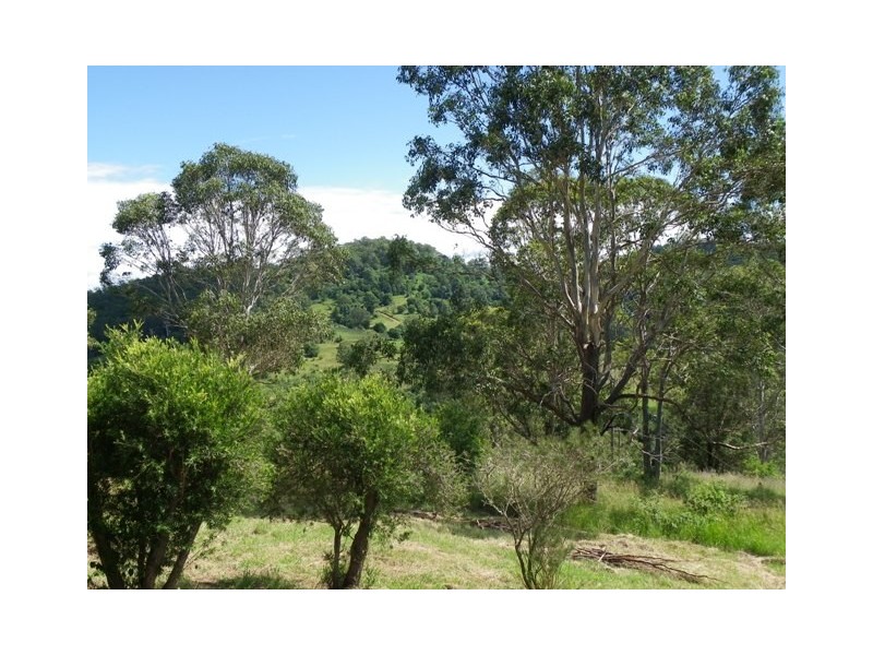 Ellenborough NSW 2446