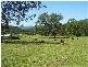 Kindee NSW 2446