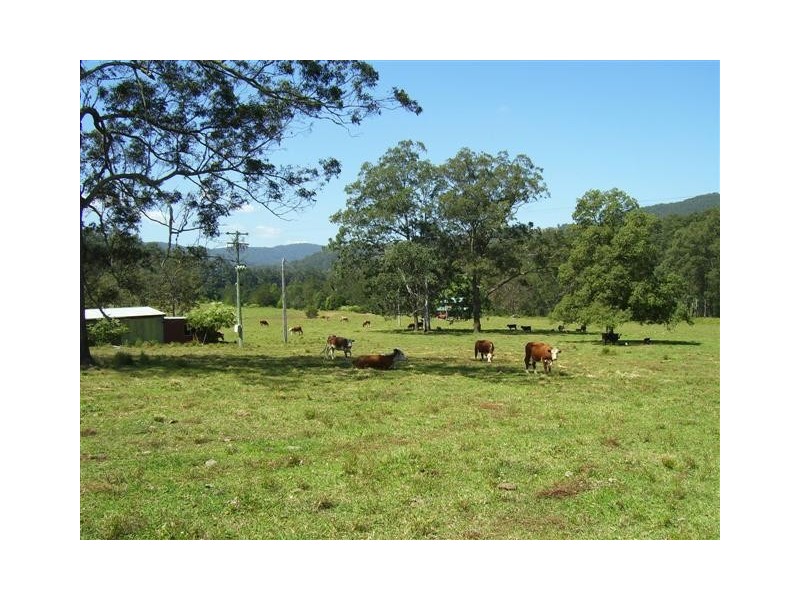 Kindee NSW 2446