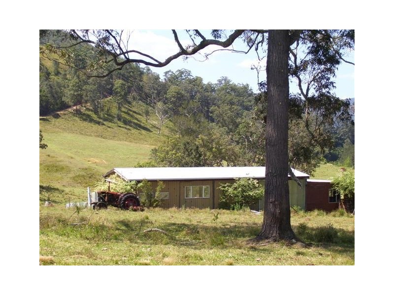 Kindee NSW 2446