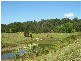 Kindee NSW 2446