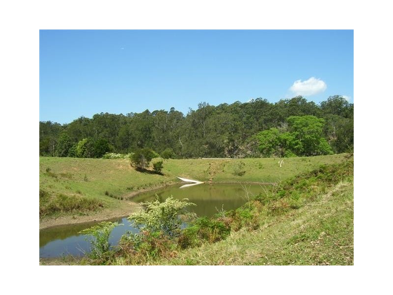 Kindee NSW 2446