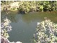 Kindee NSW 2446