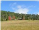Pappinbarra NSW 2446