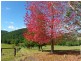 Pappinbarra NSW 2446