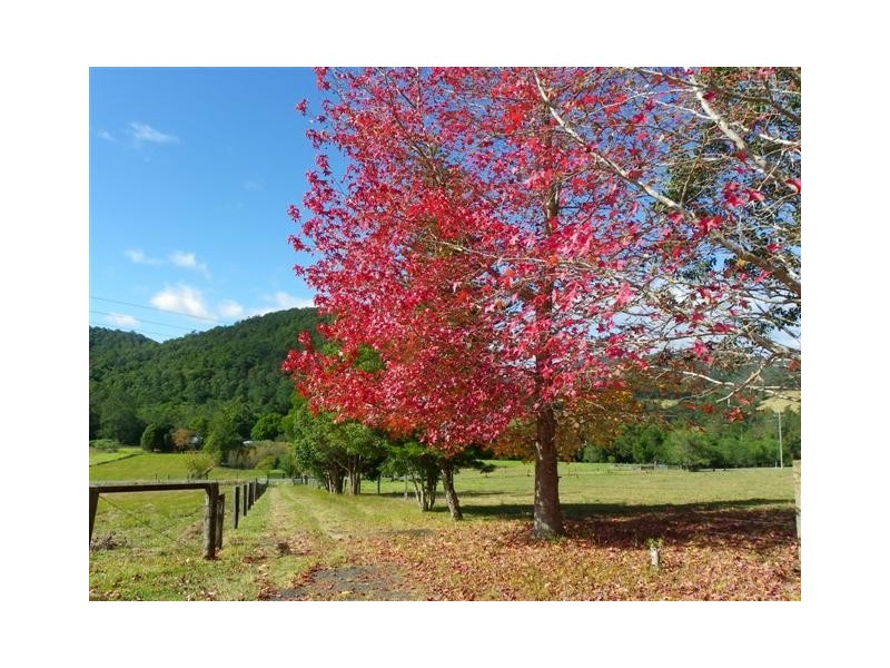 Pappinbarra NSW 2446
